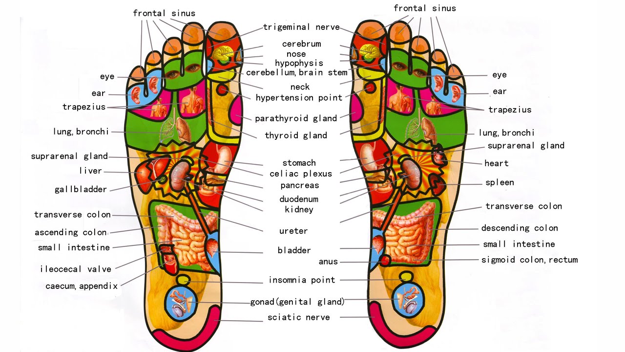 What is Foot Reflexology - Foot Massage And Benefits - How to do Foot Reflexology Step By Step