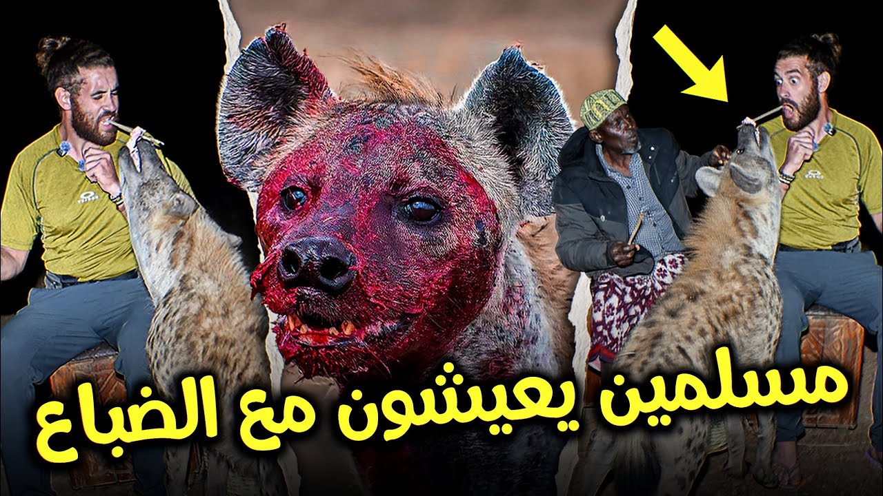 اقدم مدينة مسلمة في افريقيا الحبشة عمرها 1400سنة 