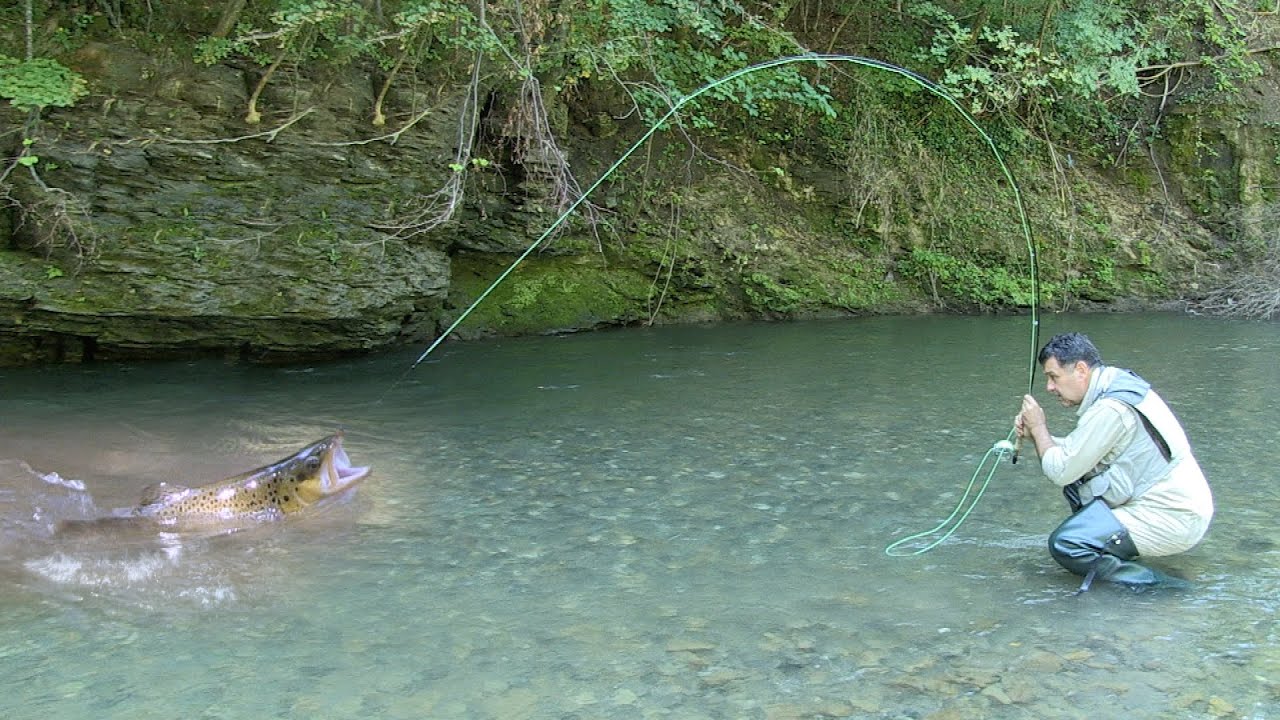 Pecanje pastrmke na reci Studenici - Mušičarenje 2 | Fishing brown trout