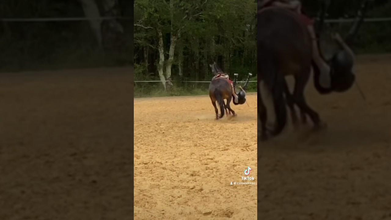 LA CHUTE LA PLUS LONGUEEEEE 😨😱#cheval #&eacute;quitation #viral #equestrian #horse #foryou #chute #fyp