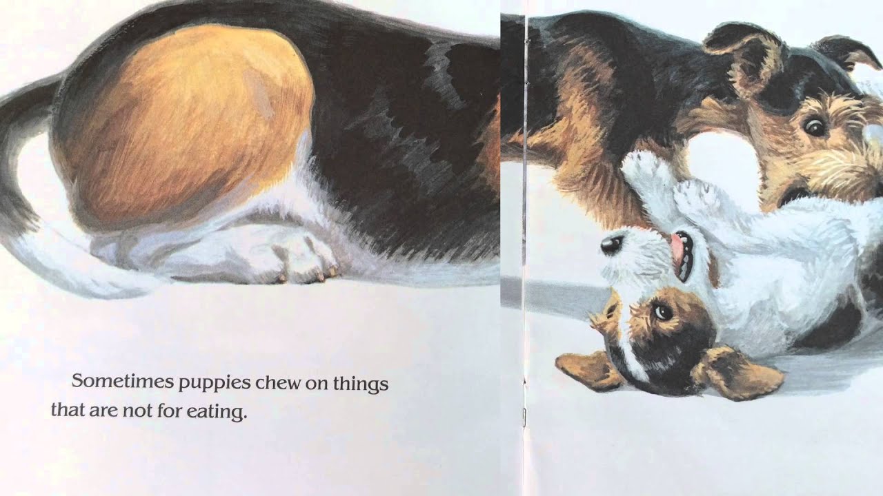 The Puppy Book (read aloud)