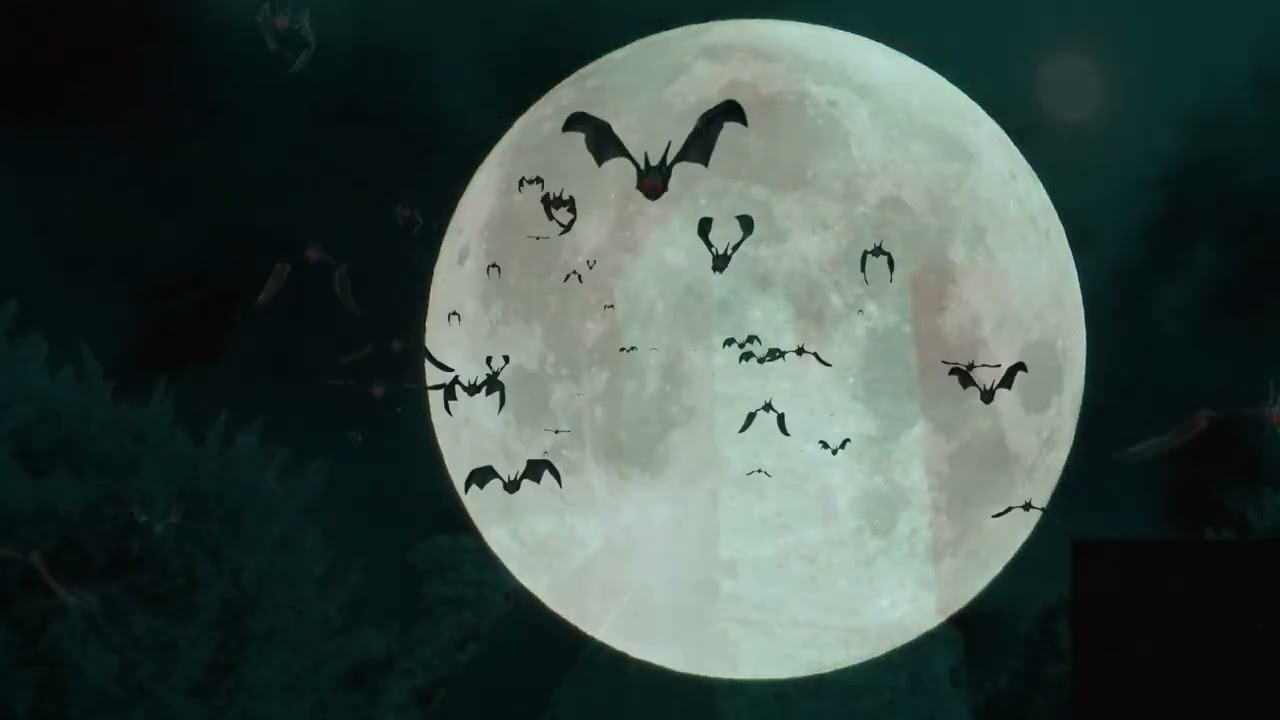 Flight of the Bats (a short Halloween video)