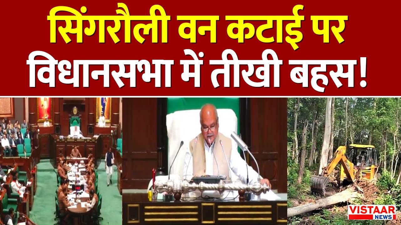MP Vidhansabha Debate: Singrauli वन कटाई पर विधानसभा में तीखी बहस! | Madhya Pradesh