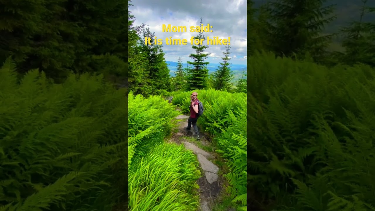 Śumava offers some of the most beautiful hikes in Czechia🤩 #sumava #czechia #austria #bohmerwald