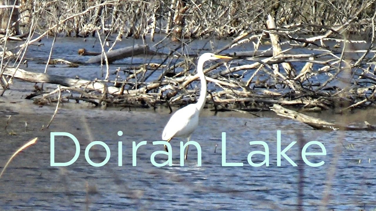 Λίμνη Δοϊράνη - Χίλια Δέντρα _ Doiran Lake, Kilkis, Greece