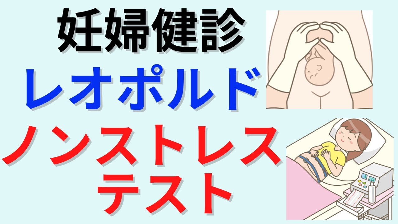 【10分で解説、15分で国試問題】レオポルド触診法やノンストレステストなど妊婦健診について解説
