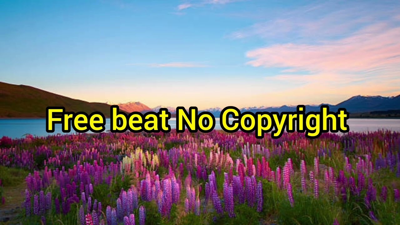 Free beat No Copyright 