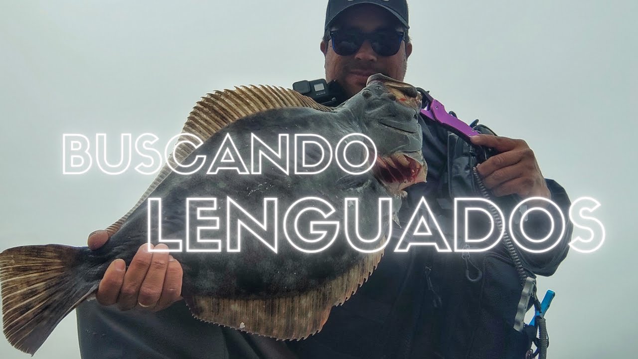 En busca de los lenguados