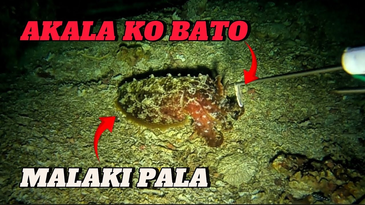 NIGHT HUNTING SPEARFISHING || BANTON, ROMBLON || MEL SPEARFISHING TV!😱🎯