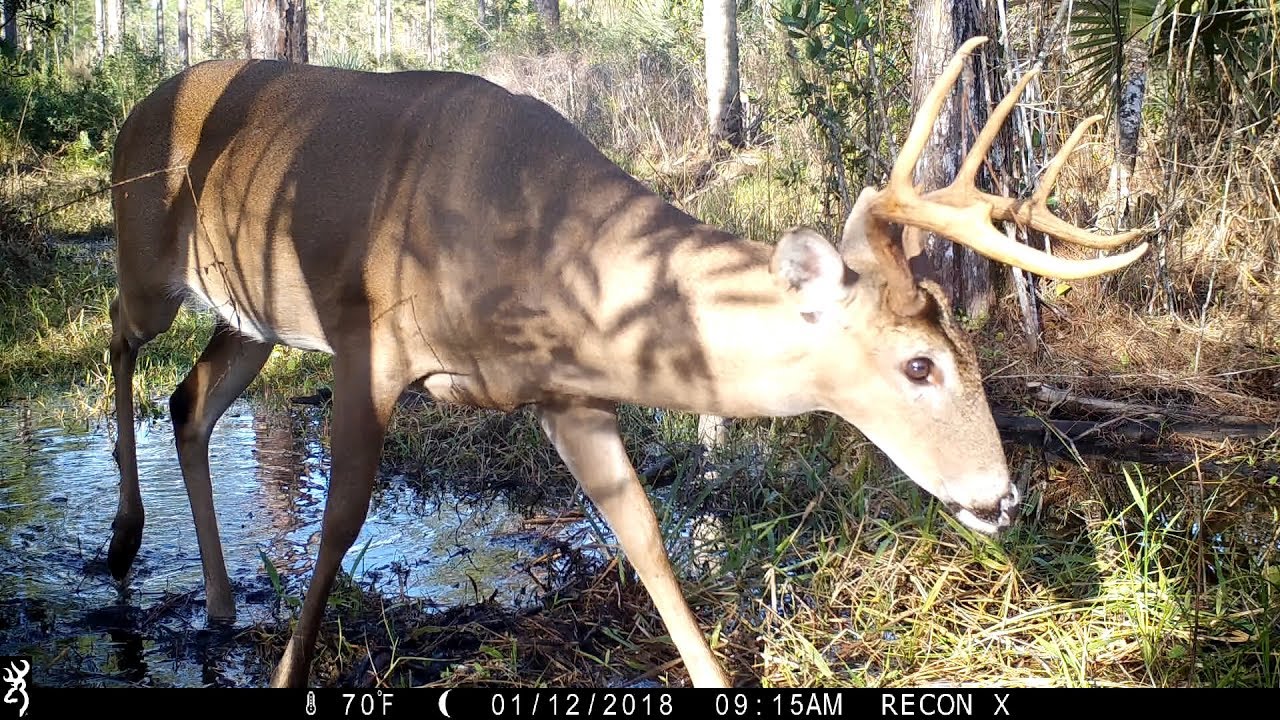 Browning Recon Force Extreme Trail Camera Pickup
