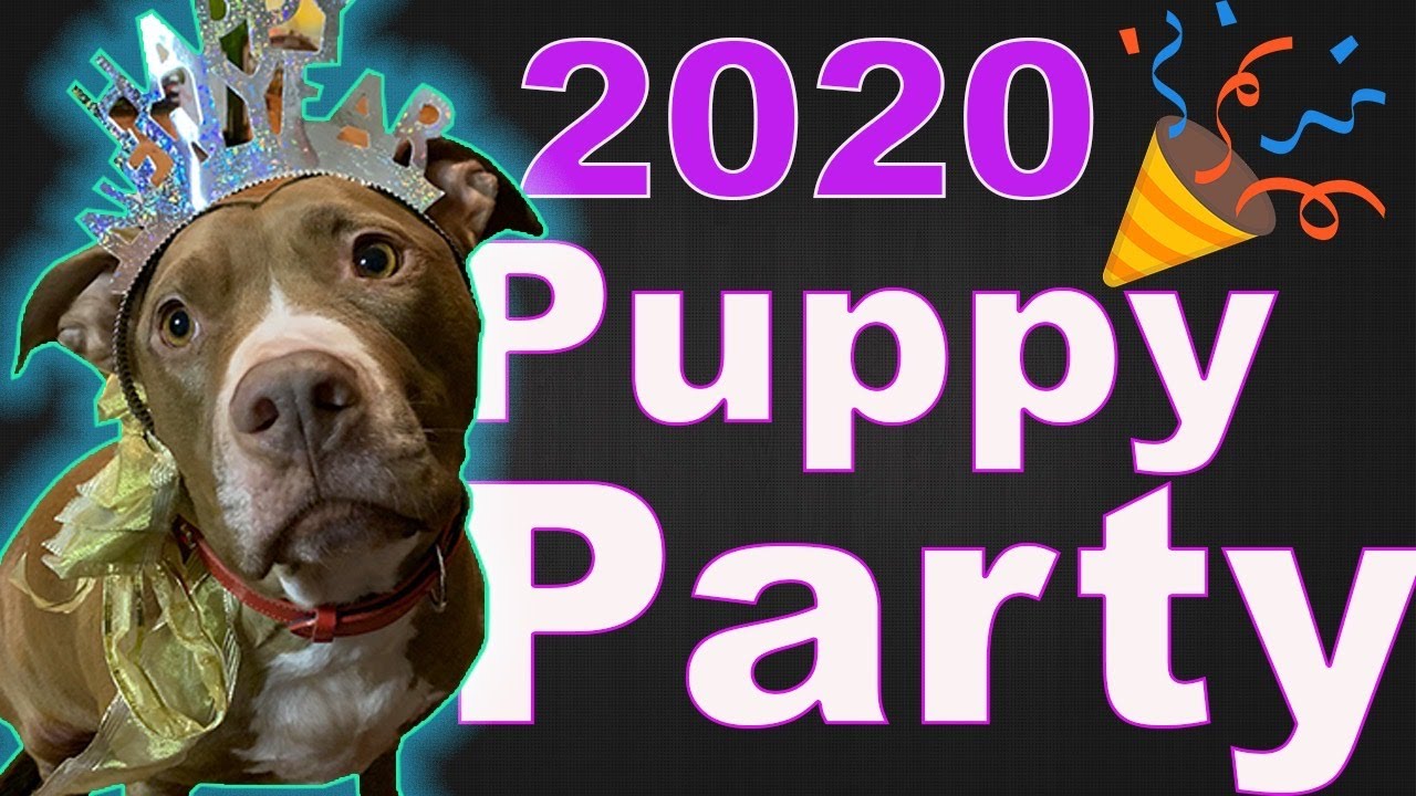 Penny threw a New Years Eve party