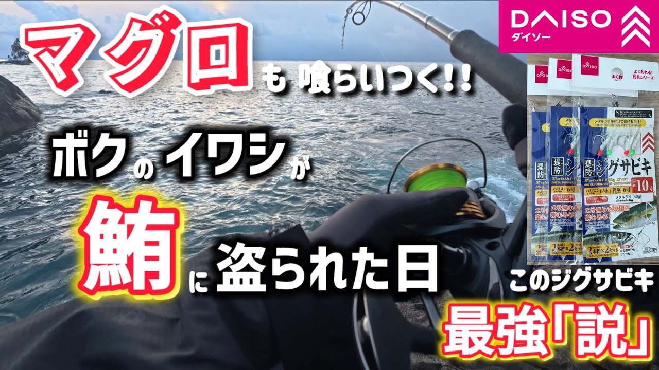 【ショアジギング】ダイソーサビキにマグロが喰らいつく🎣