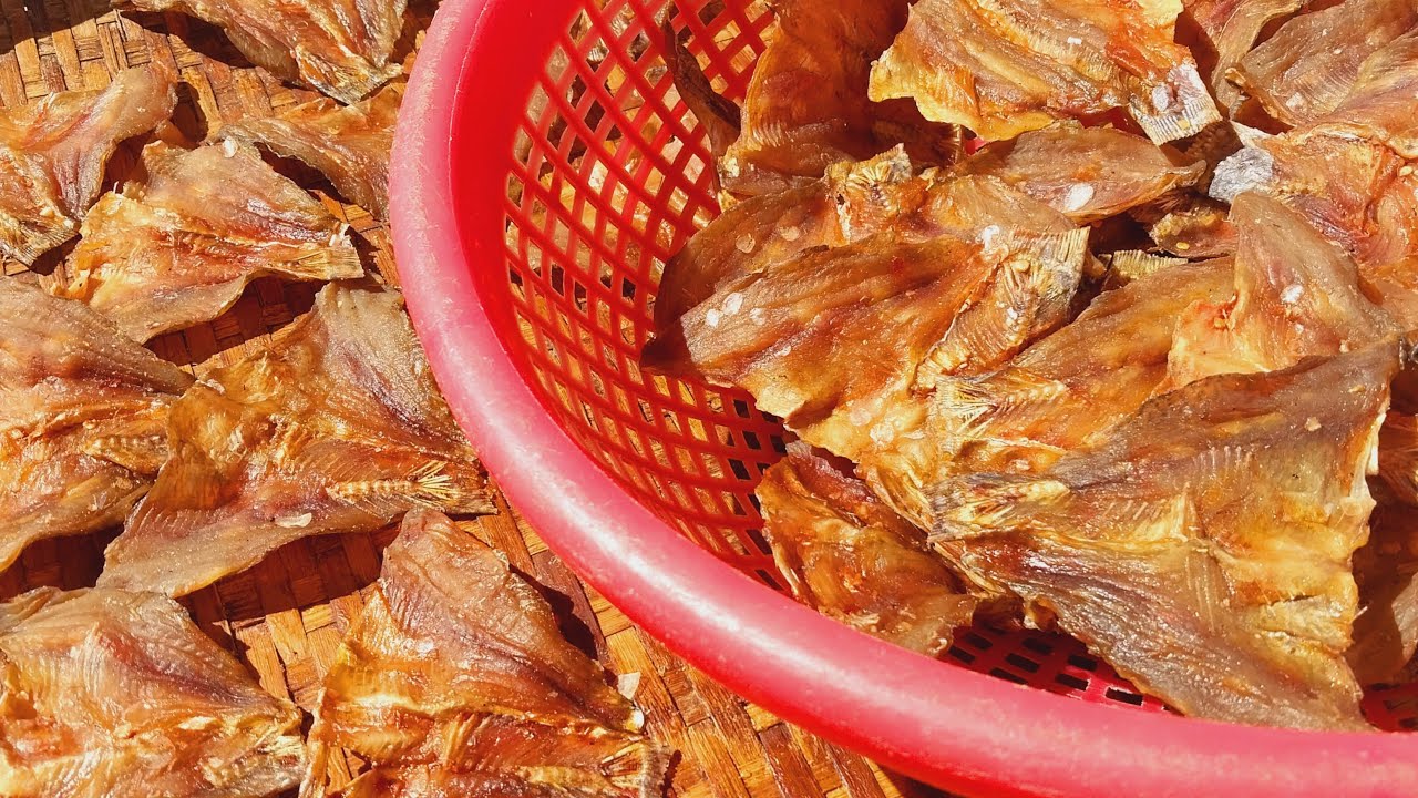 Cách làm khô cá phi /khô đường /cách phơi khô không bị ruồu bu