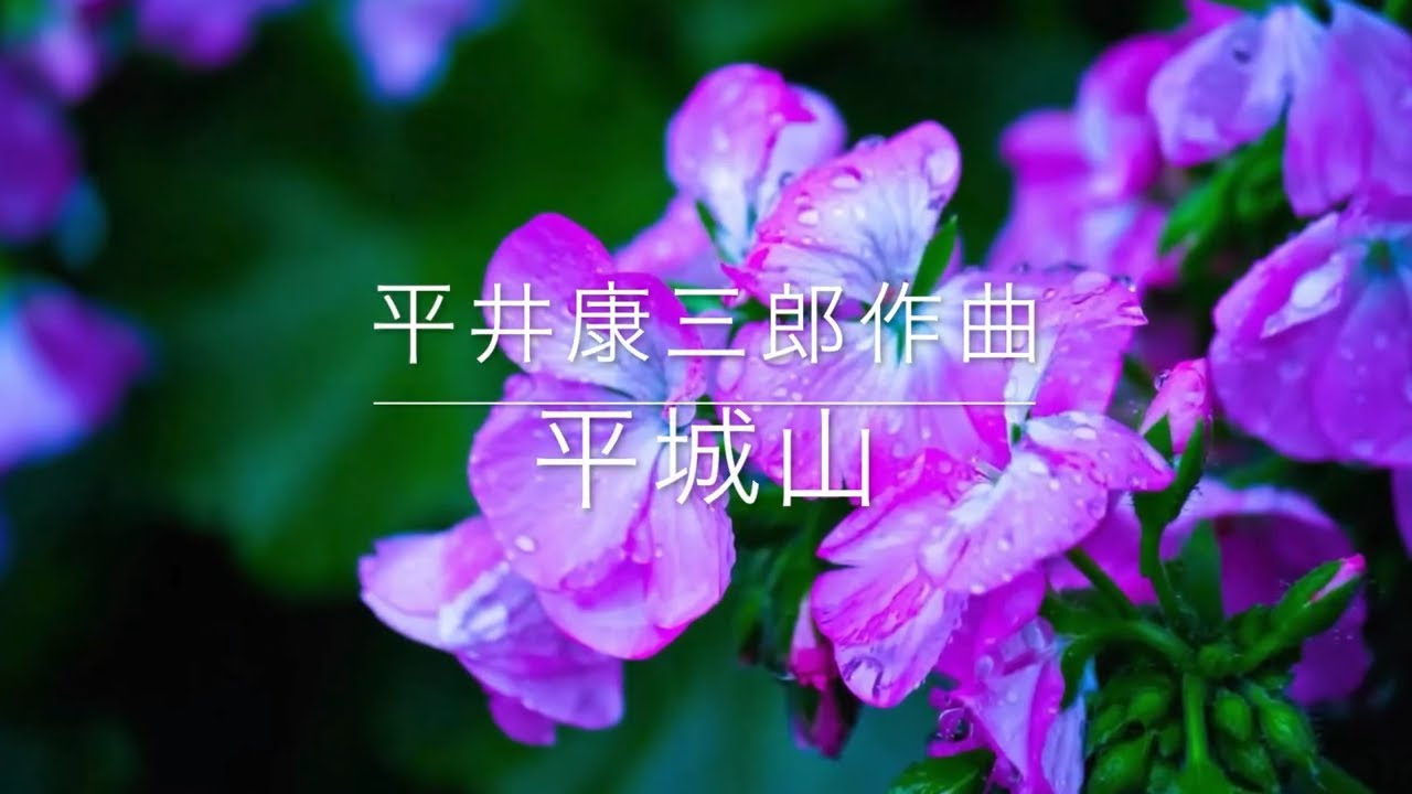 Naomi68歳歌の旅〜平城山