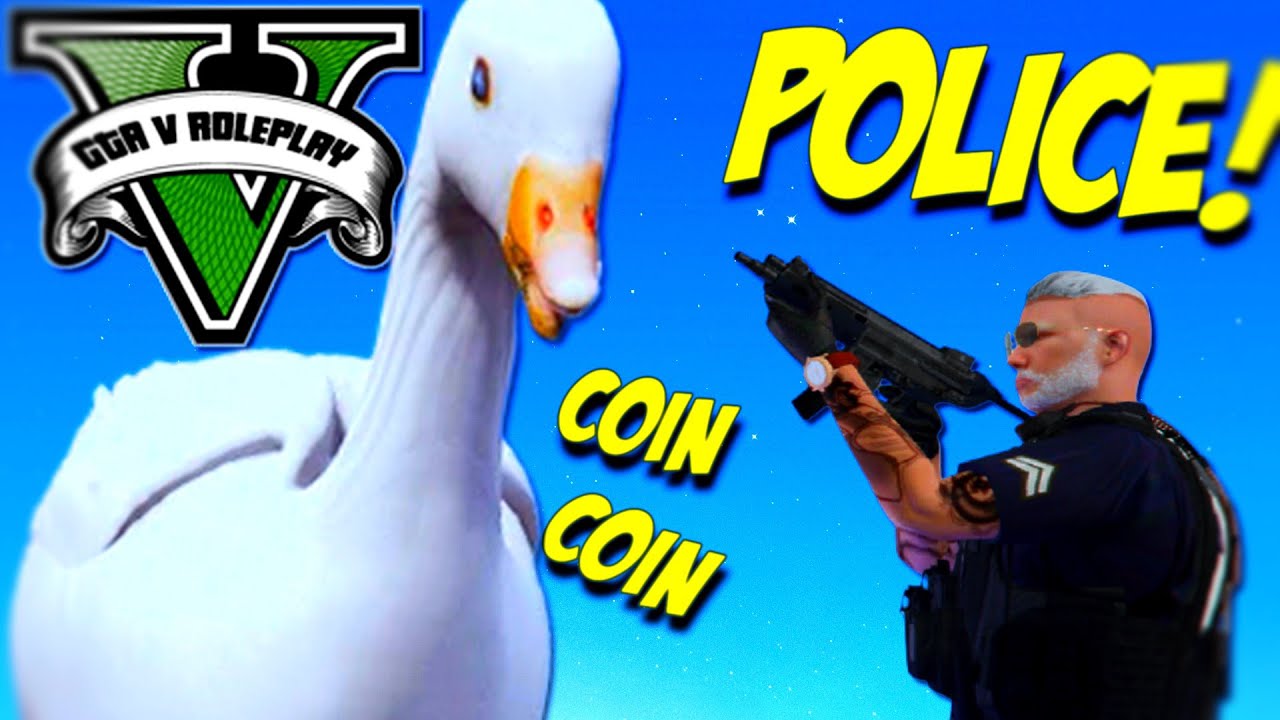UNE ENORME OIE TROLL GTA 5 RP