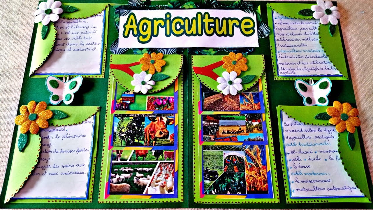 مشروع الوحدة الرابعة الفلاحة بالفرنسية الرابع projet de classe Agriculture