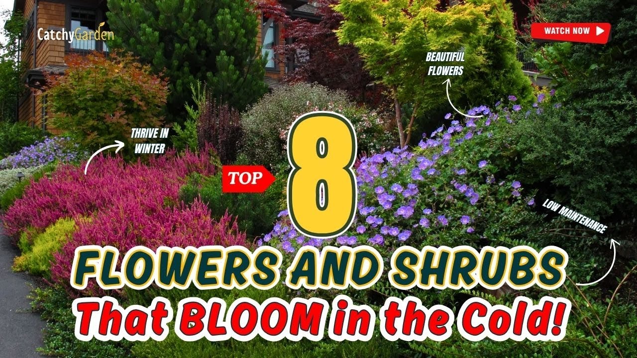 Top 8 Plants That BLOOM in the Cold! 🌷❄️🌹