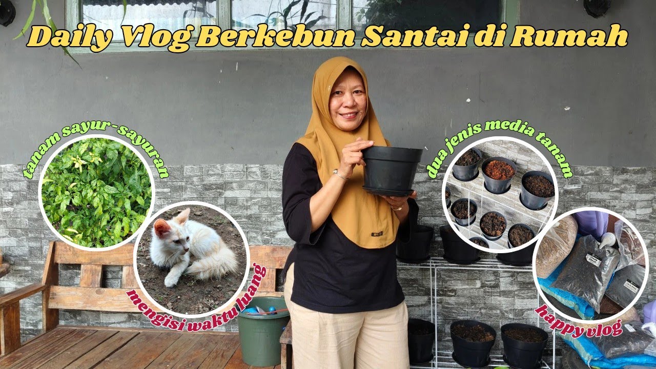 DAILY VLOG BERKEBUN SANTAI DI TERAS RUMAH | TANAM SAYUR-SAYURAN UNTUK MENGISI WAKTU LUANG DI RUMAH