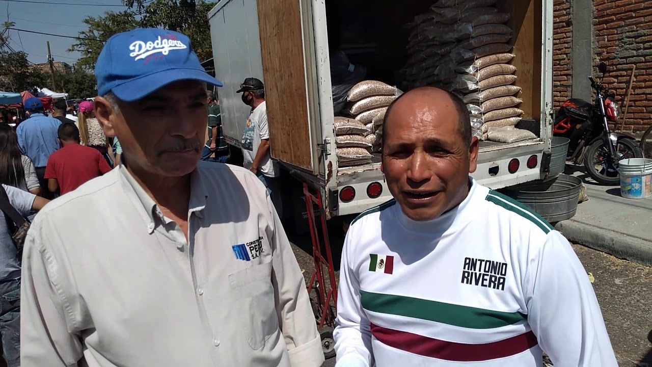 Colombofilia Guadalajara El famoso Baratillo
