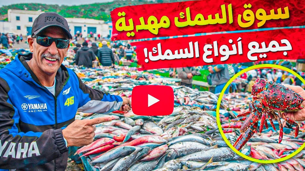 أجيو تكتاشفو معنا أسعار خيالية لسمك🐟 مهدية 😱