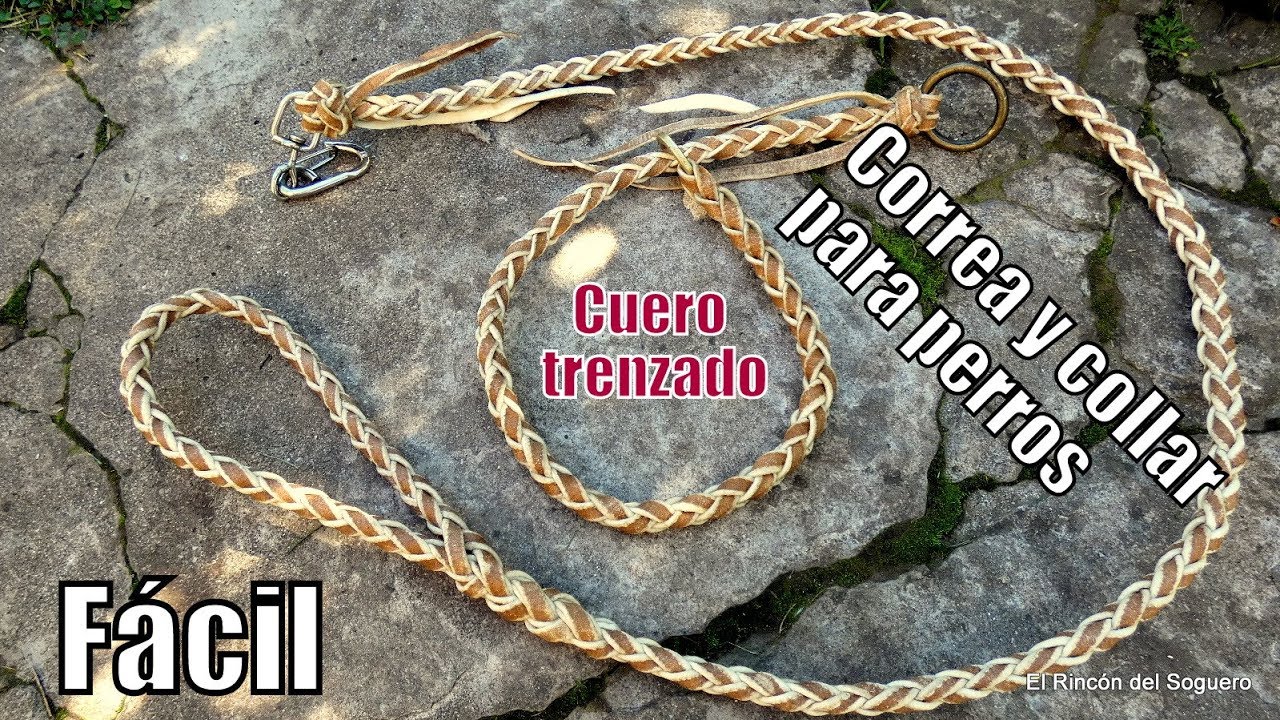 Correa y collar de cuero para perros 