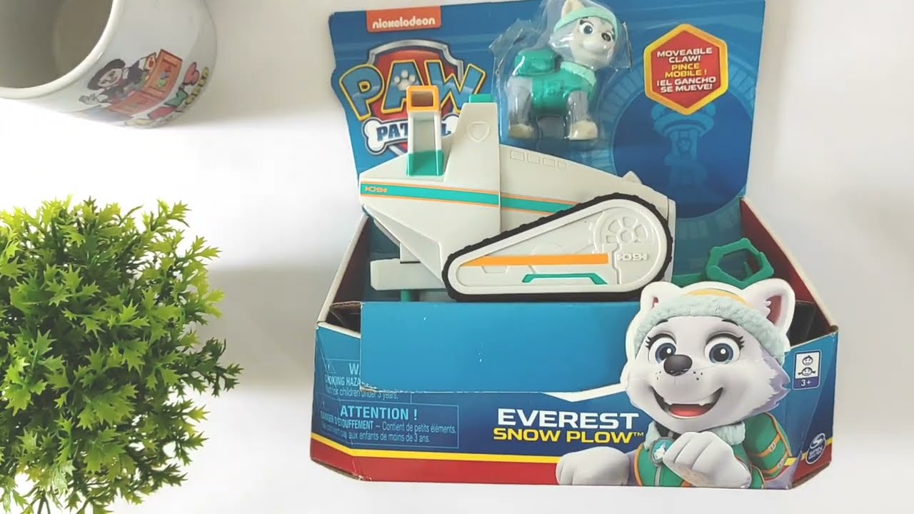 Paw patrol's Everest & snow plow vehicle