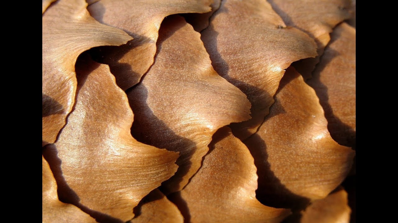 Giacomo Manzoni: Ode (1982)