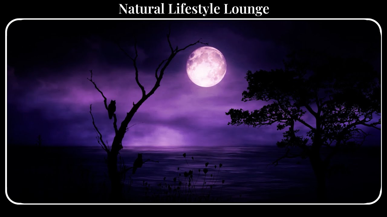 Peaceful Purple Night 💜 Calming Moonlight & Nature Sounds for Sleep