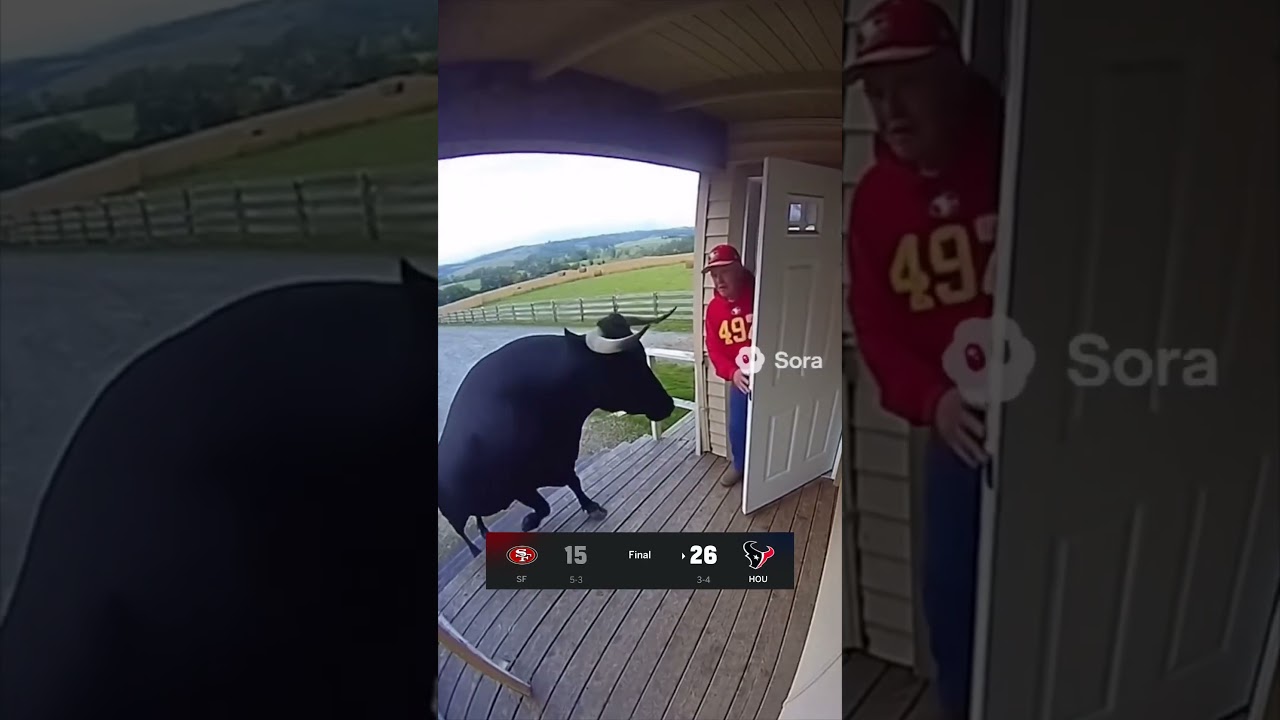 the bull got out 😤