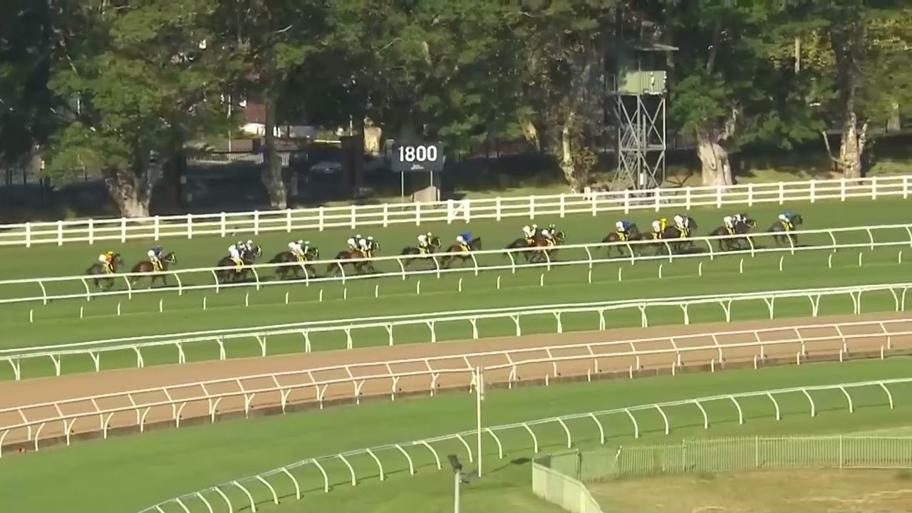 Royal Randwick Australia (SCHWEPPES SYDNEY CUP) Carrera 7 - 11 de Abril 2025