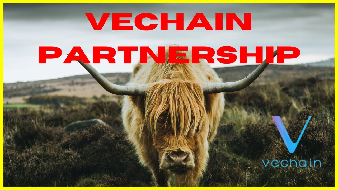 🚨NEW🚨 VeChain Partnership! Frank And Oak Partners With VeChain For Premium Yak Wool