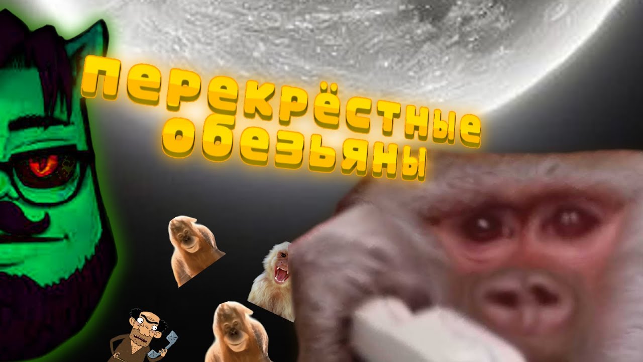 Перекрёстные хачи сборник #вольнов#хачатинка#пранк#пранки#2025 #реакция#ТОП
