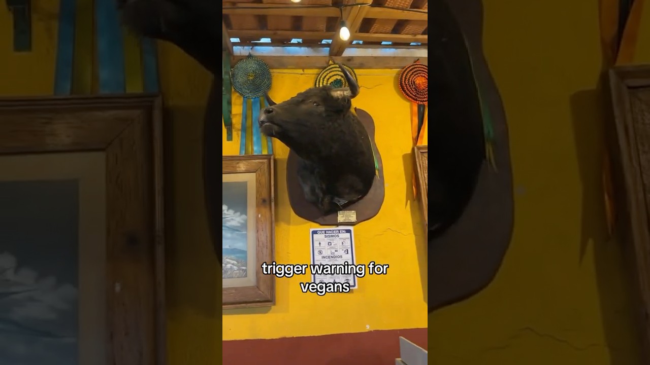 NOPAL 🌵girl tries out real Mexican Restaurant in MEXICO 🇲🇽 #mexico #restaurantemexicano#food