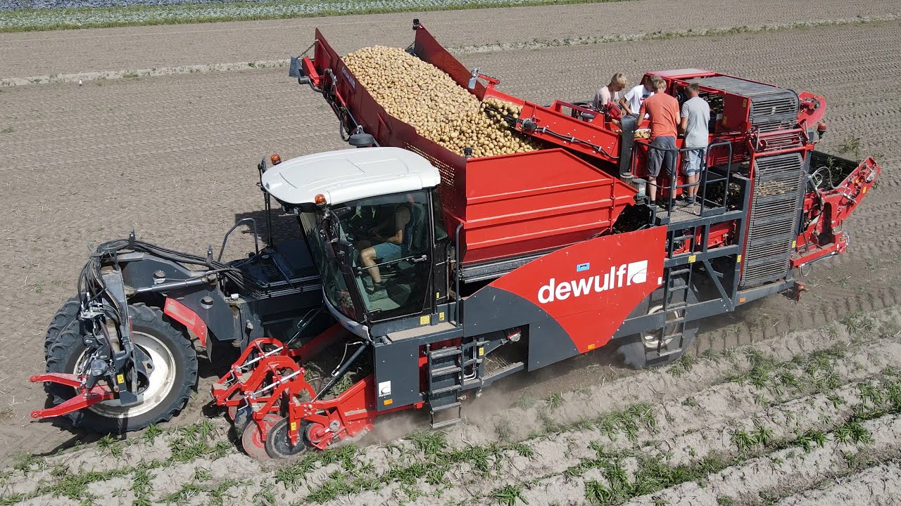Aardappel oogst met zelfrijdende Dewulf RA3060  - 2 rijige verstekrooier met axiaalset en egelband