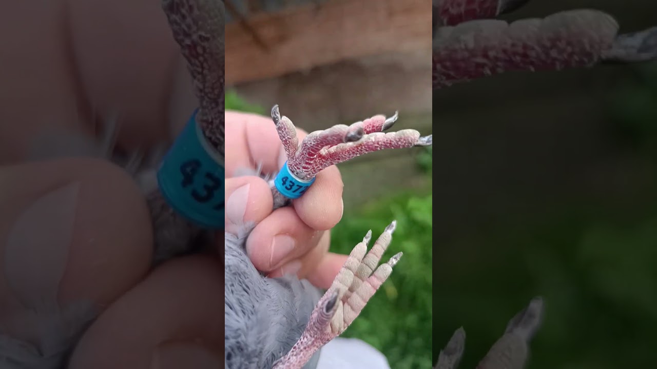 513812854 prośba o zlokalizowanie właściciela