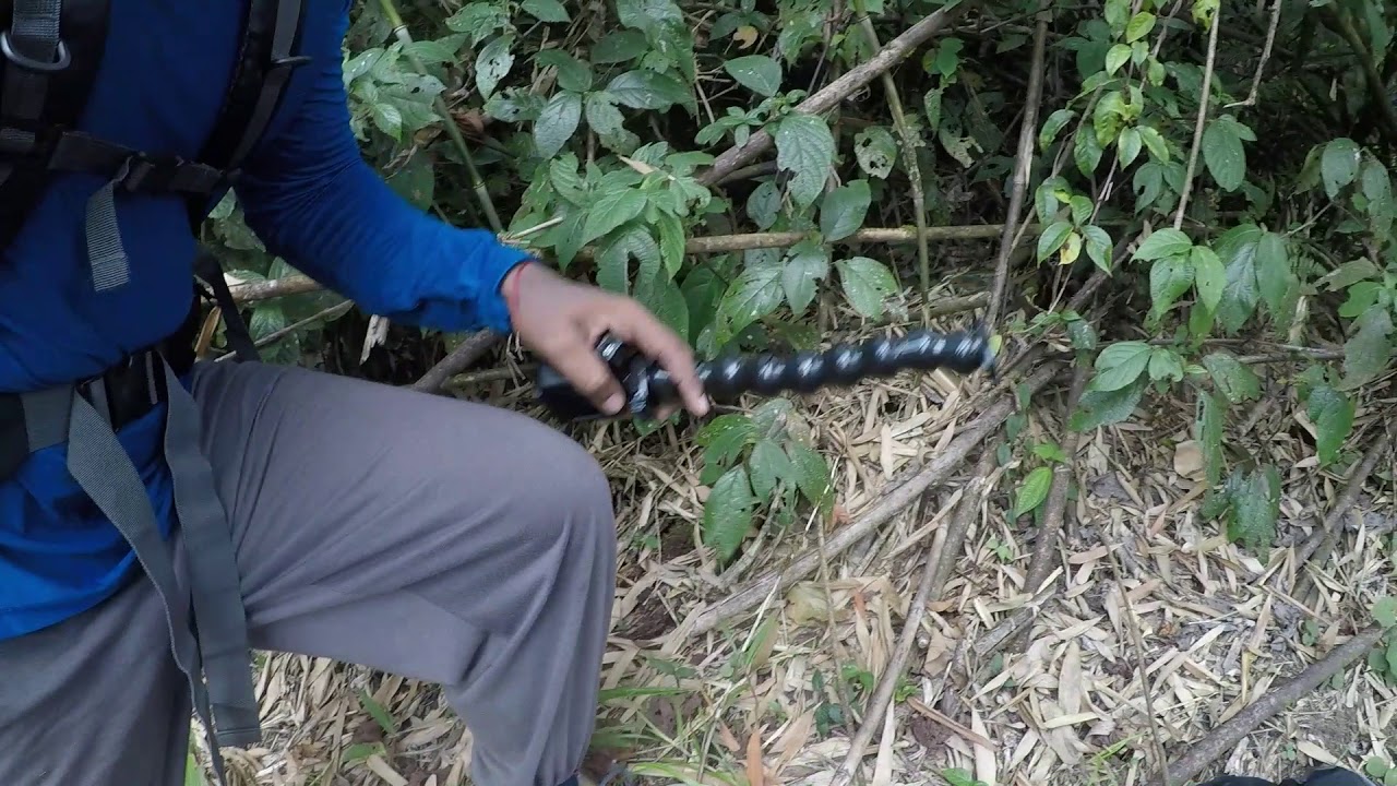 Saptha Kanya Hiking