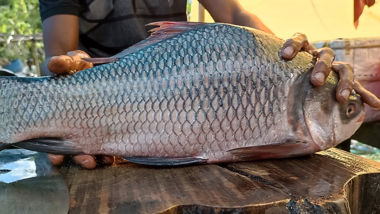 Satisfying Fish Cutting Video with Sharp Knife Skills | Clean, Fast & Professional Fish Preparation 