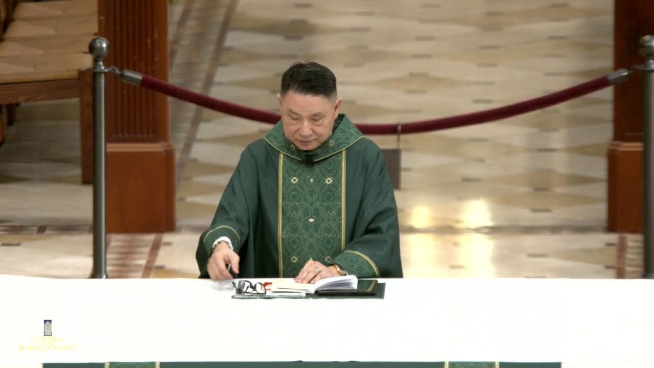 2026年2月1日 - 常年期第四主日