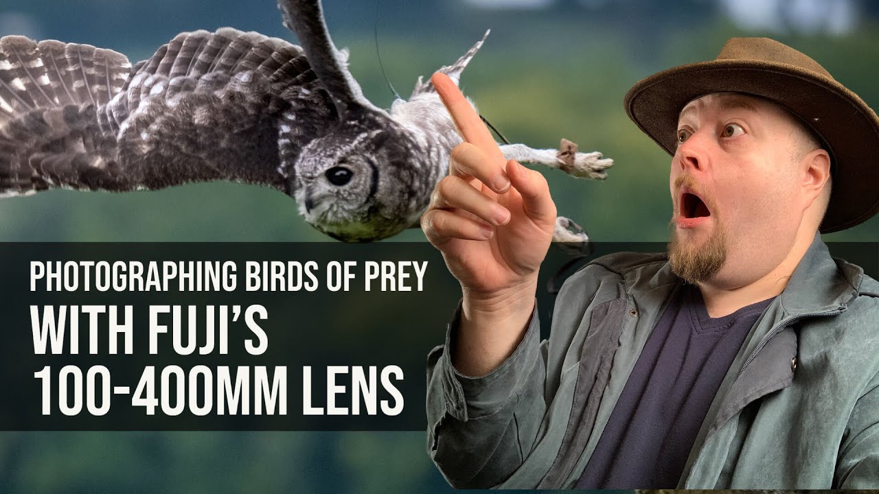 Photographing Birds Of Prey, Bird Photography With Fuji's 100-400 Lens