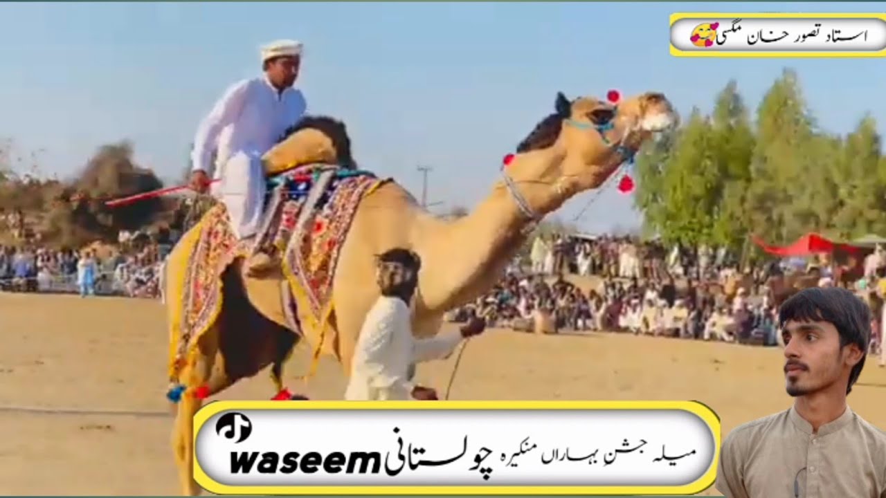 Camel dance mela jashan e baharan mankera city جشن بہاراں منکیرہ میلہ