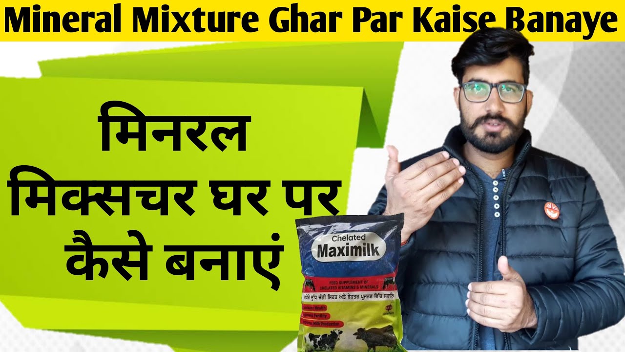 मिनरल मिक्सचर घर पर कैसे बनाएं | How to make mineral mixture at home | Mineral mixture for buffalo