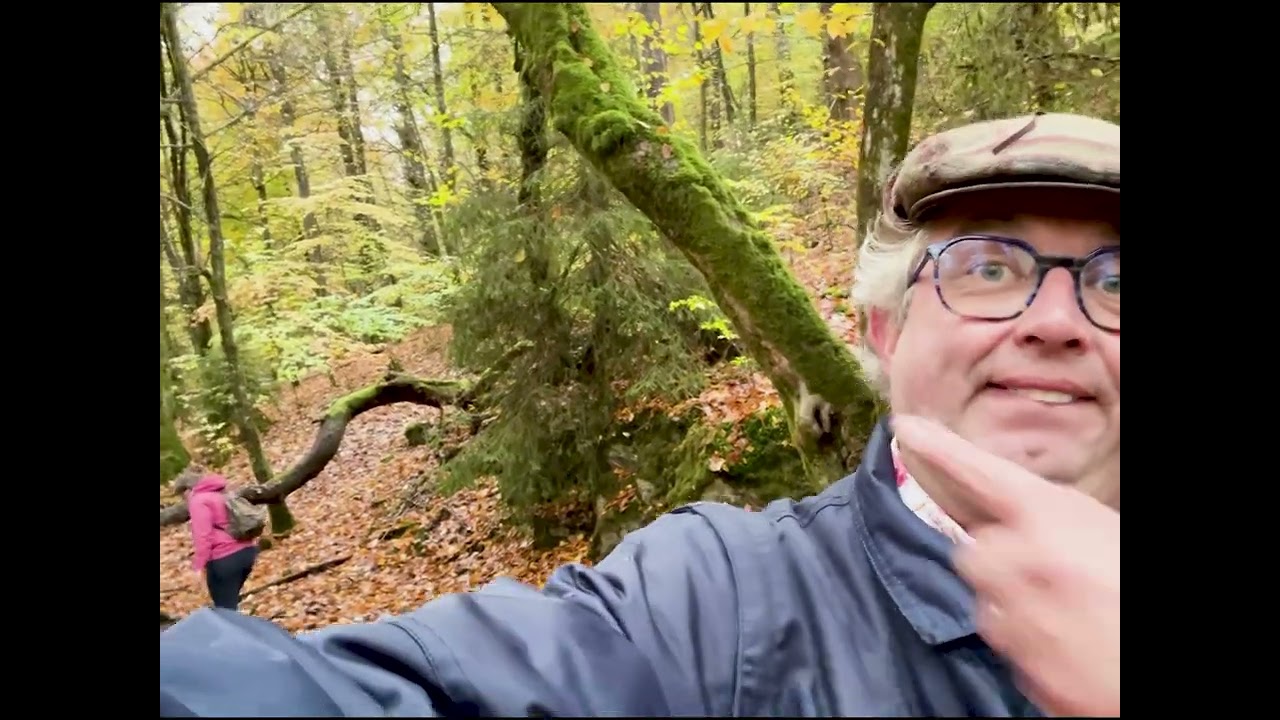 Ardennen herfst 2025