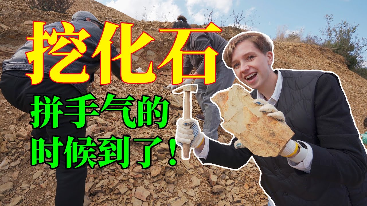 云南震惊世界的发现，这些化石比恐龙还早3亿年！随手就能挖到