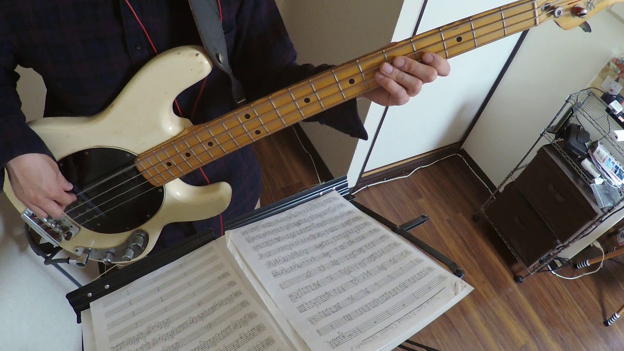 Red Hot Chili Peppers - Magic Johnson (bass cover)