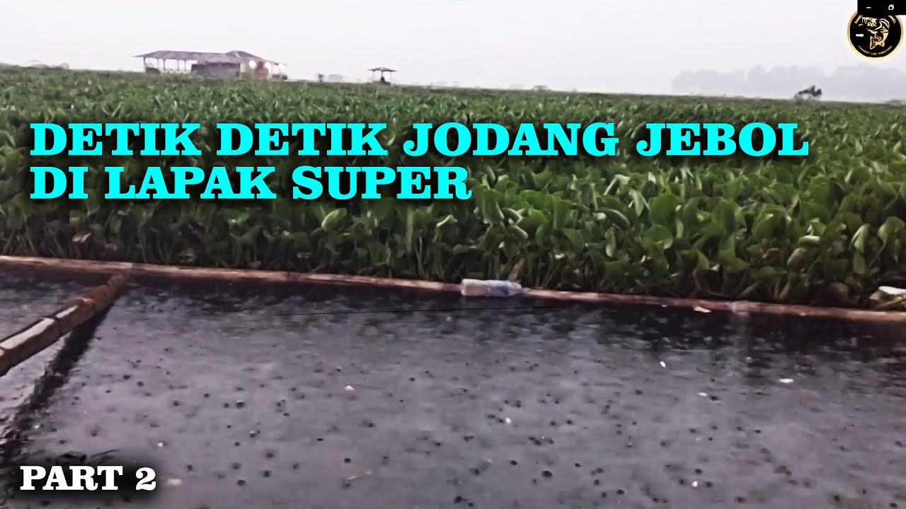 HUJAN BADAI TIDAK MENGHAMBAT GEMPURAN IKAN !!! - Mancing Cirata Terbaru 2023