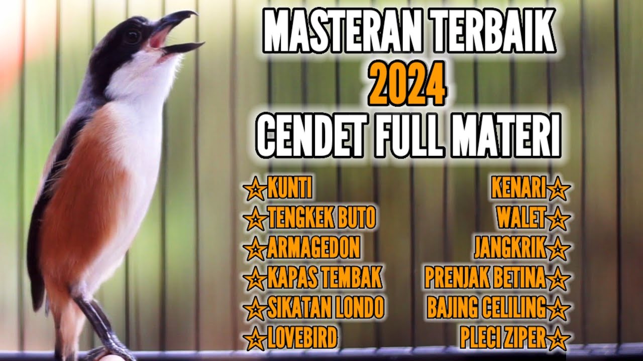 MASTERAN TERBAIK CENDET FULL TEMBAKAN MATERI ISTIMEWA 100% AMPUH BUAT MASTERAN CENDET MANAPUN