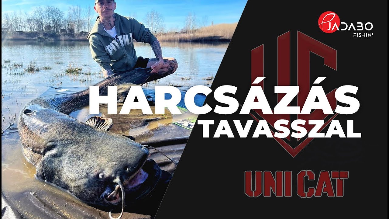 Harcsázás szívvel, lélekkel - Tüzes Attila tippjei