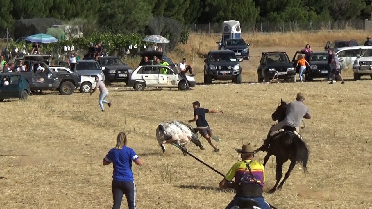 Corre Corre que Viene el Toro Malaguilla (Guadalajara) 06 - 09 - 2025 GuadaEncierros