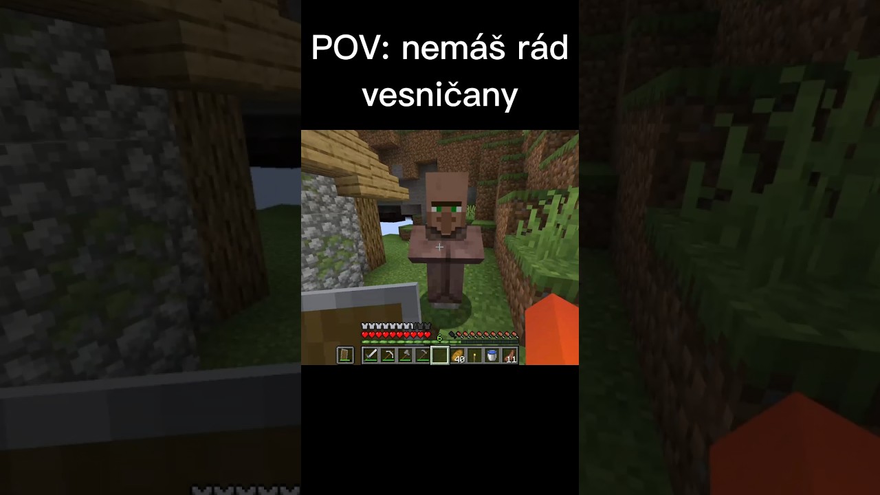 NEN&Aacute;VID&Iacute;M VESNIČANY😤 #minecraft #meme #memes