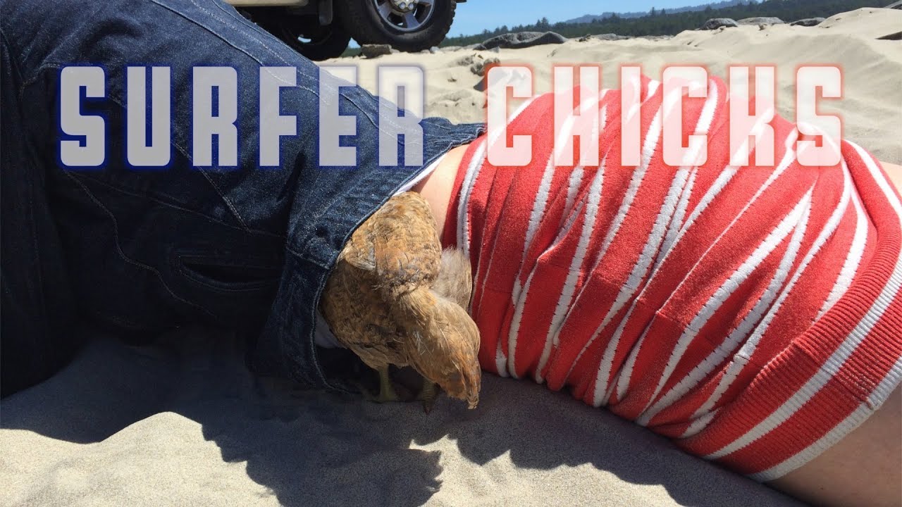 Surfer Chicks  |  Fresh P